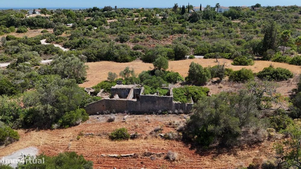 Mixed Plot with Ruin | Potential for Custom Project