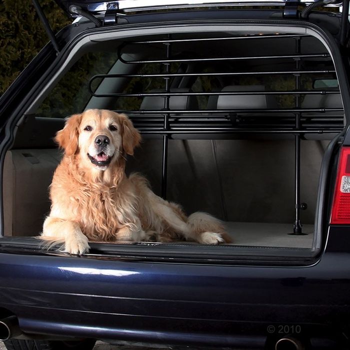 Divisória para automóvel cães