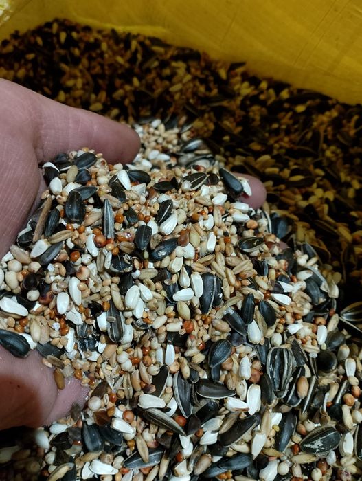 Karma dla papug średnich10kg