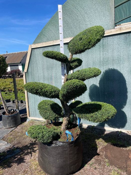 Професійний Садівник