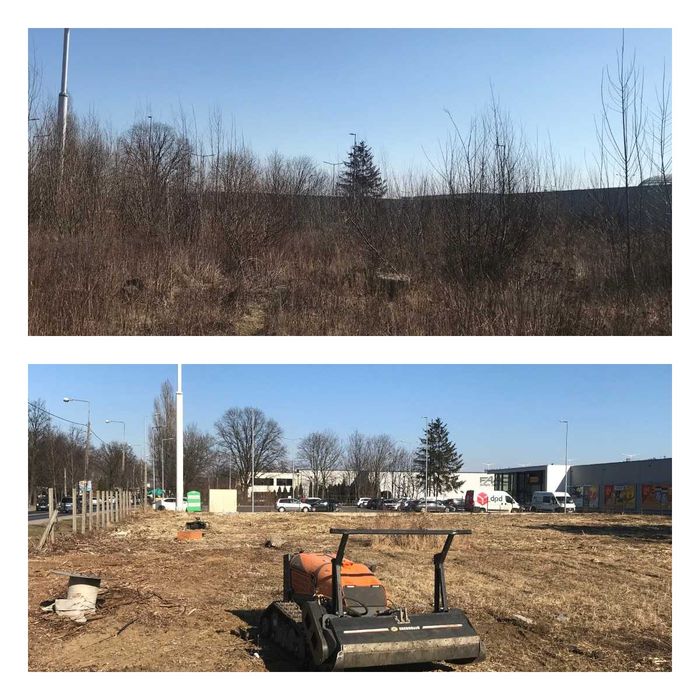 Usługi mulczowania karczowanie działek i zarośli . mulczer