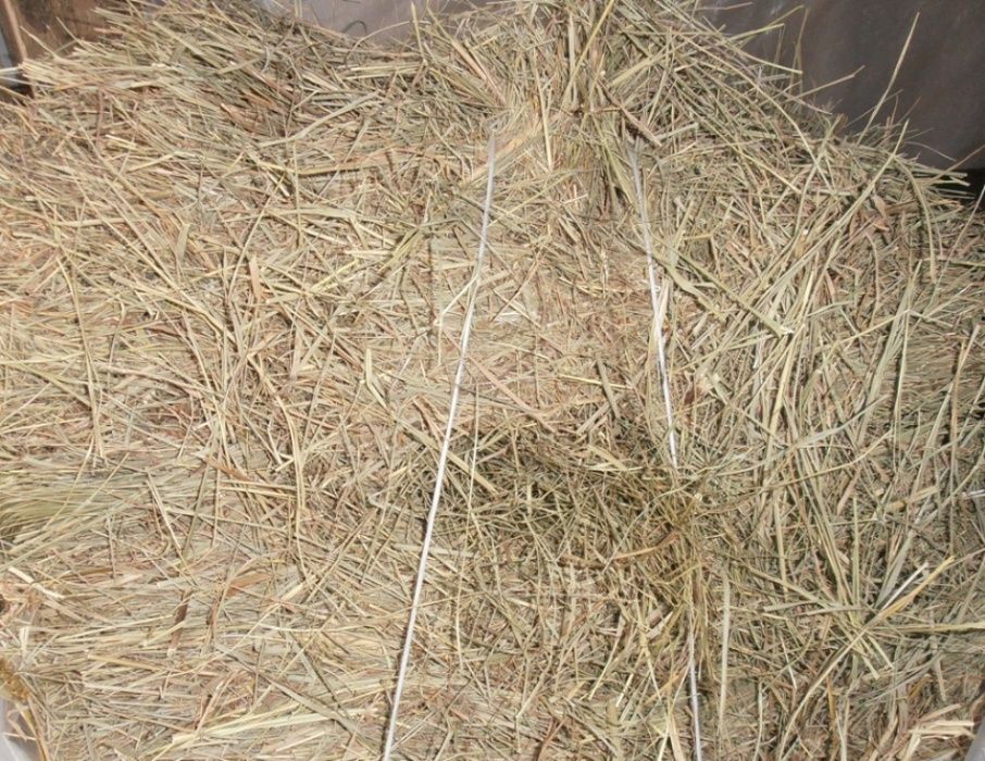 Сено разнотравие,в мешках и тюках 2025.Днепр. Возможна доставка