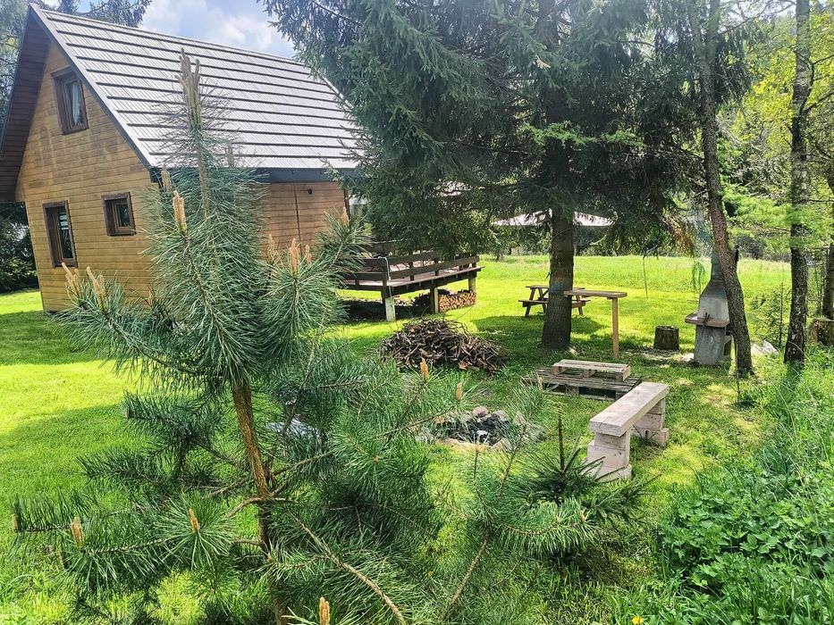 Domki bieszczady
