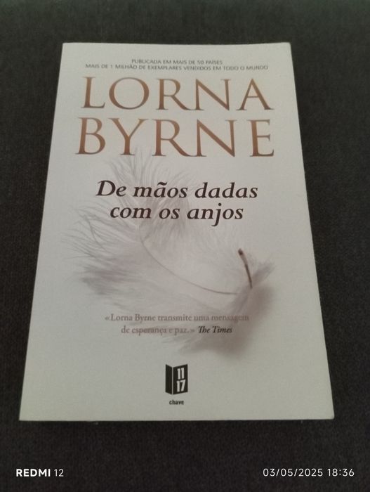 Livro De mãos dadas com os anjos