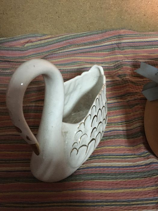 Pato e cisne vendo os 2 juntos