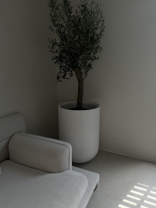 Капшо (горщик,вазон) для квітів,оливкове дерево та інші