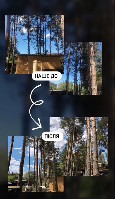 Безопасный спил, удаление, кронировка, чистка деревьев, участка, крыши