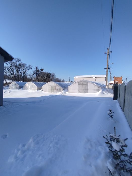 Продаж сучасного будинку з тепличним бізнесом! Читаємо опис!