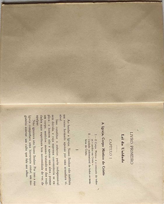 Livro- Ref CxC - Cristo em Nossos Irmãos - R. Plus, S. I.