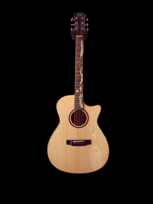 Guitarra ARTINY QTE QW 16 ST