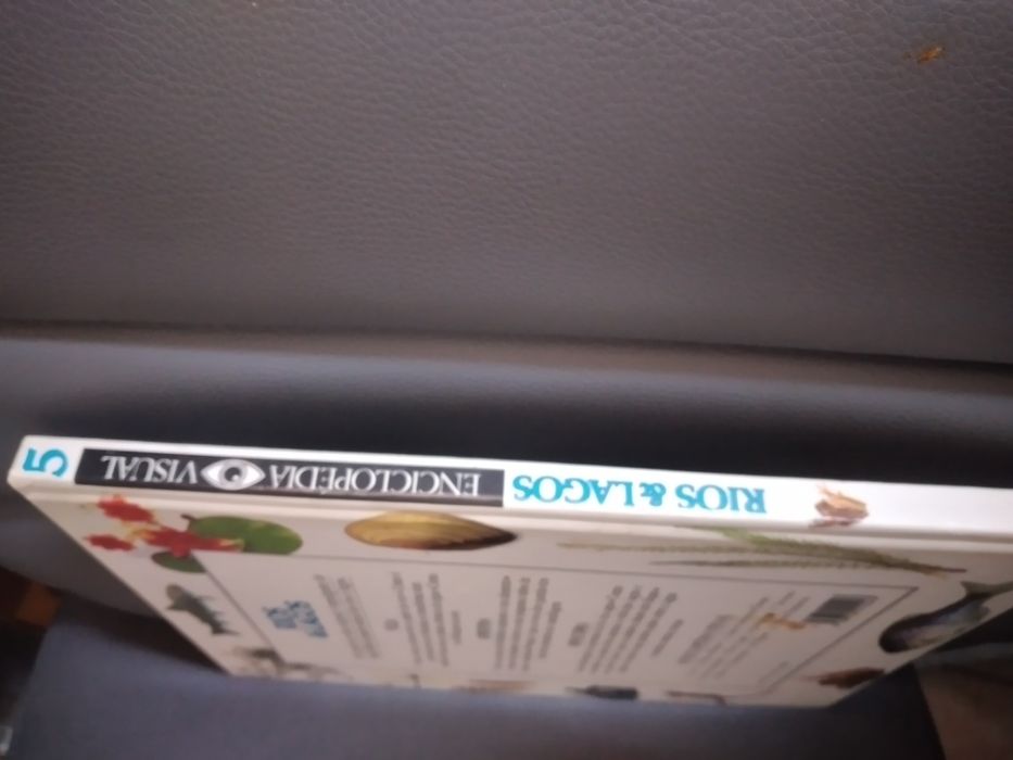 Lagos e rios ( livro)