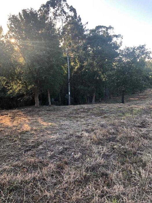 Terreno para Construção