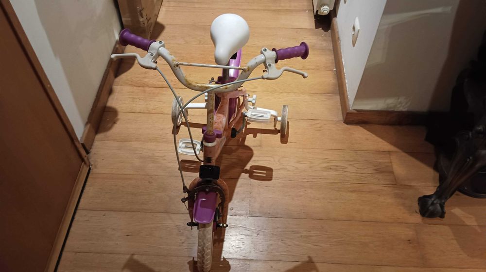 Bicicleta fantasy rosa com rodas de apoio toimsa r12"