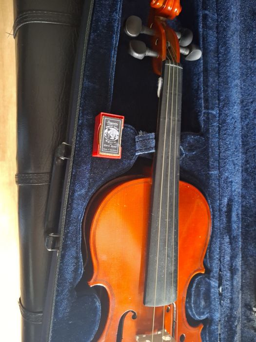 Violino 4/4 PRIMO – Afinado, com estojo, arco e resina