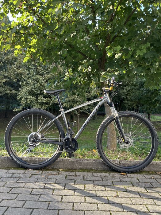 Specialized Roda 29 rockhopper