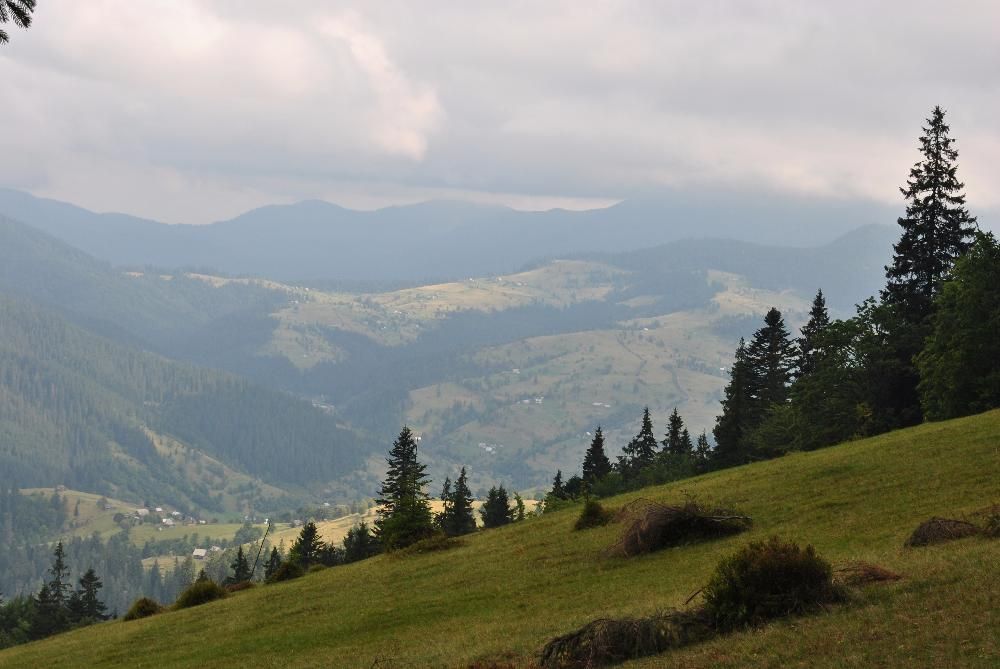 Земля в Закарпатті біля озера "Синевир"