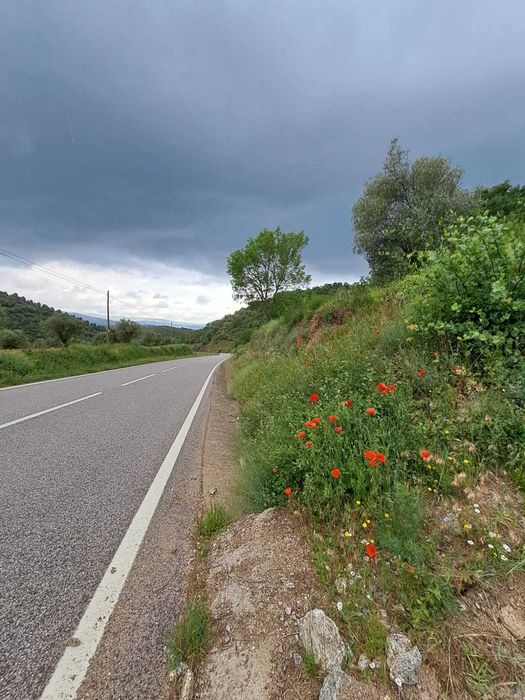 Venda de terreno com 2 600 m2 em Babe - Bragança