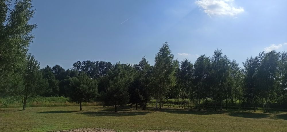 Działka z wydanymi WZ Rakszawa