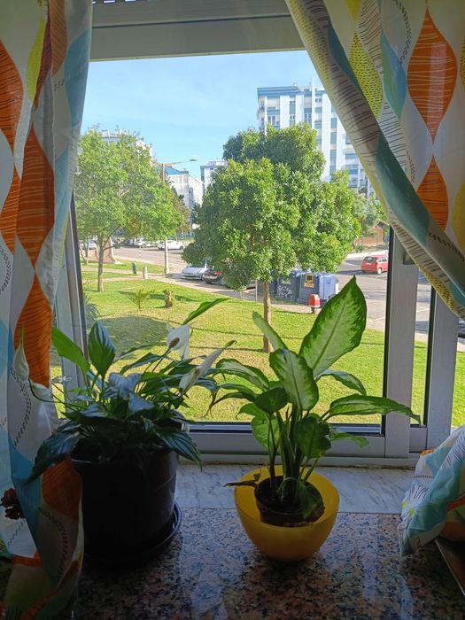Apartamento T2 à venda em Seixal, Arrentela E Aldeia De Paio Pires, Seixal — foto 3