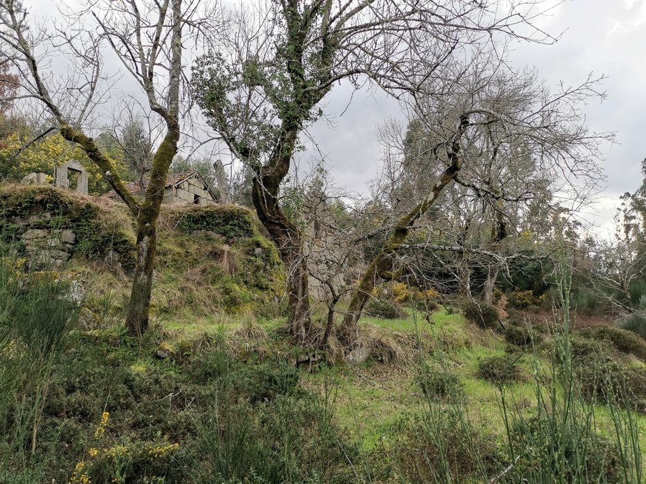 Quinta para turismo ,refúgio / oportunidade única! Esta semana