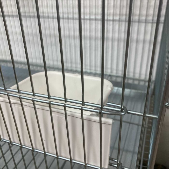 NOVO - Gaiola Zincada para Agapornis 60x55x36cm