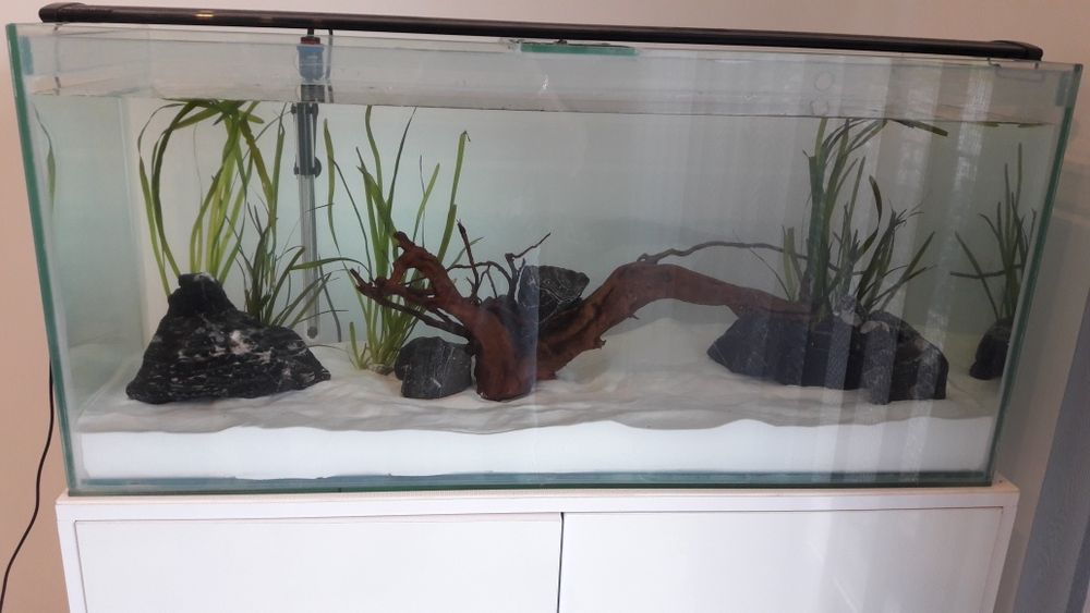 Aquário totalmente equipado com móvel reforçado