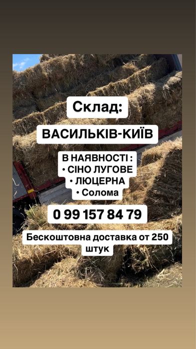 Продам сіно, сено в тюках, люцерна, Оттава!