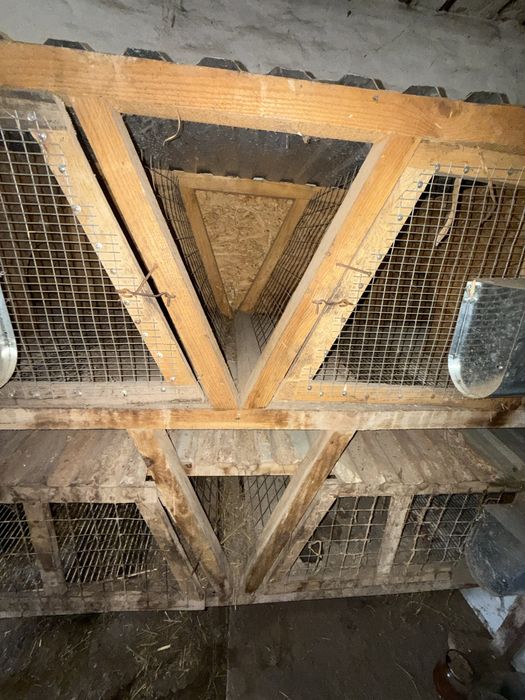 Клітка для кролів