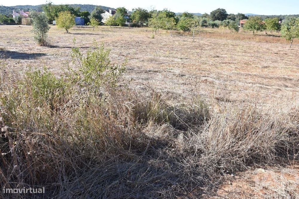 Terreno para construção em Areias e Pias de 8120,00 m2