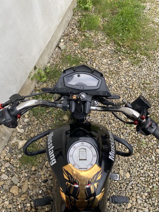 Продам мустанг фіт 2