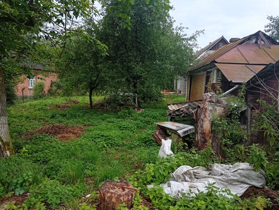 Продам хату в житловому стані з земельною ділянкою