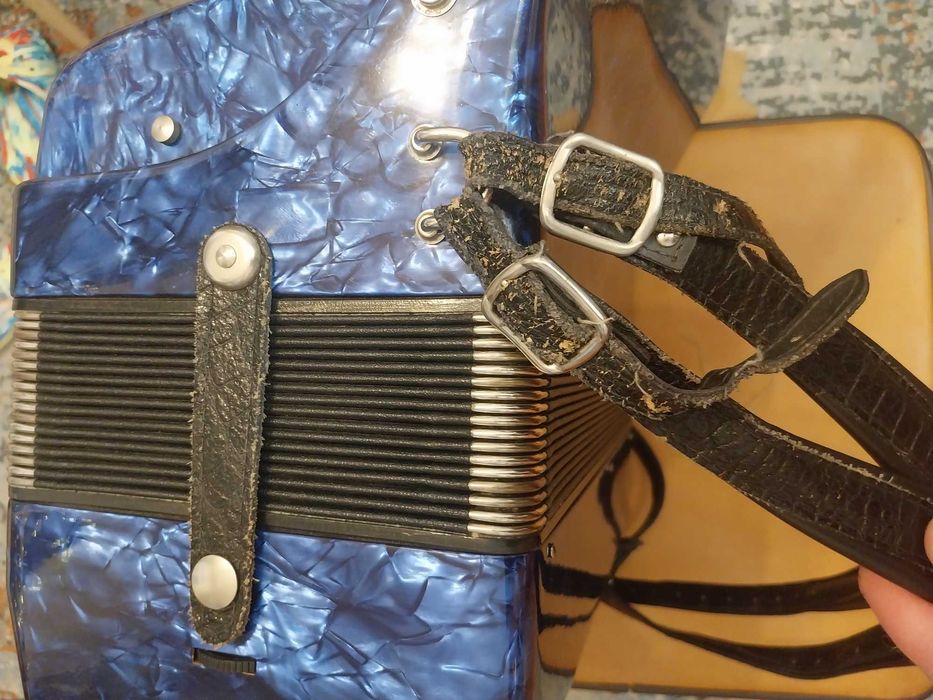 Akordeon Delicia Carmen XIV