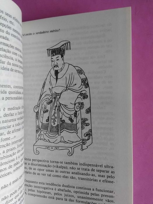 O Zen por Jean Michel Varenne