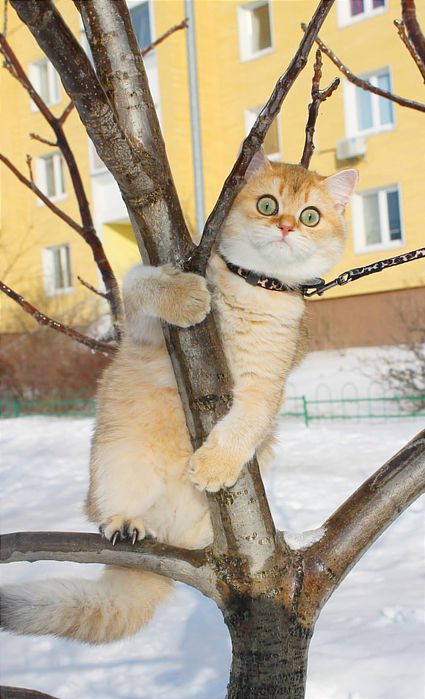 Шикарний хлопчик чекає найкращу маму