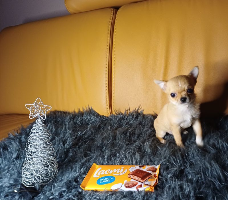 Красуня чекае на батькiв