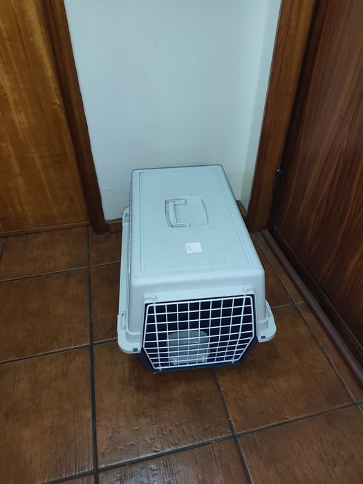 Transportadora de animais em muito bom estado