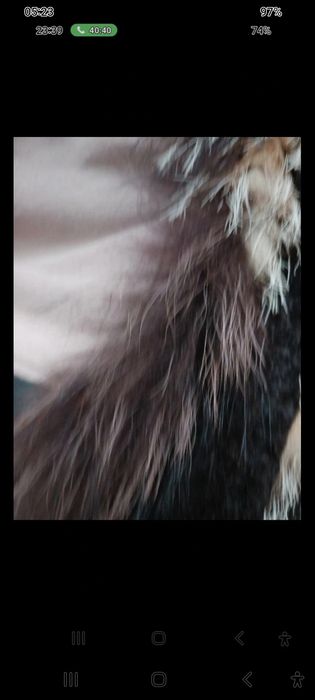 Colete Rizal em pelo natural