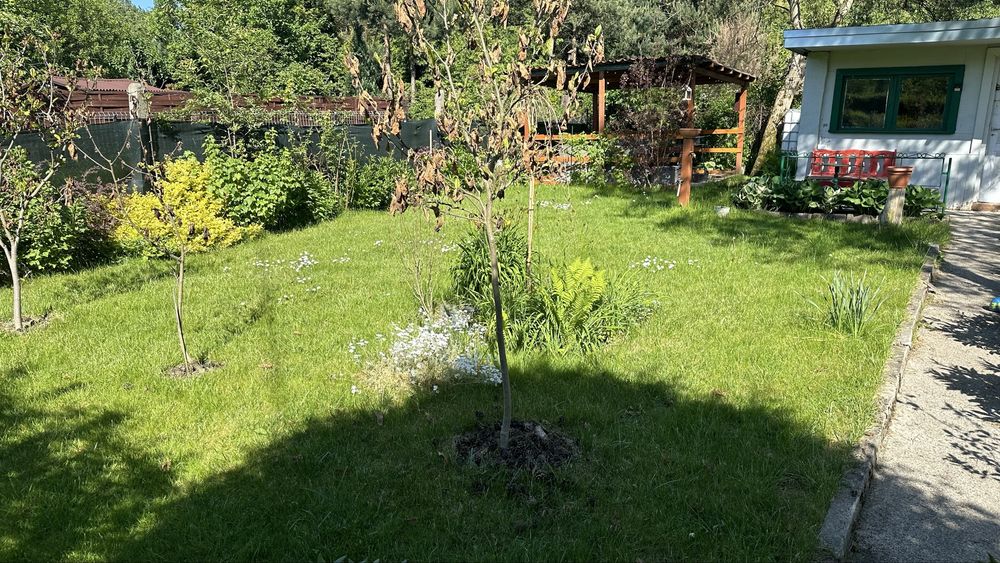 Ogrodek działkowy Rodos Sosnowiec Mikołajczyka - Widok 4
