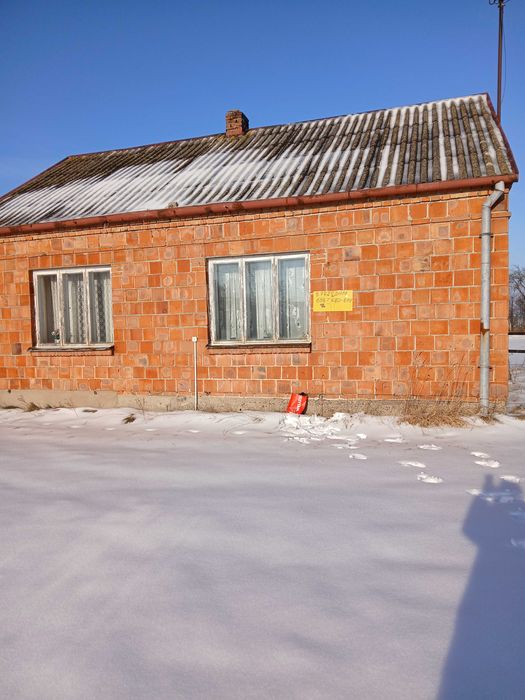 Sprzedam siedlisko blisko lasu.