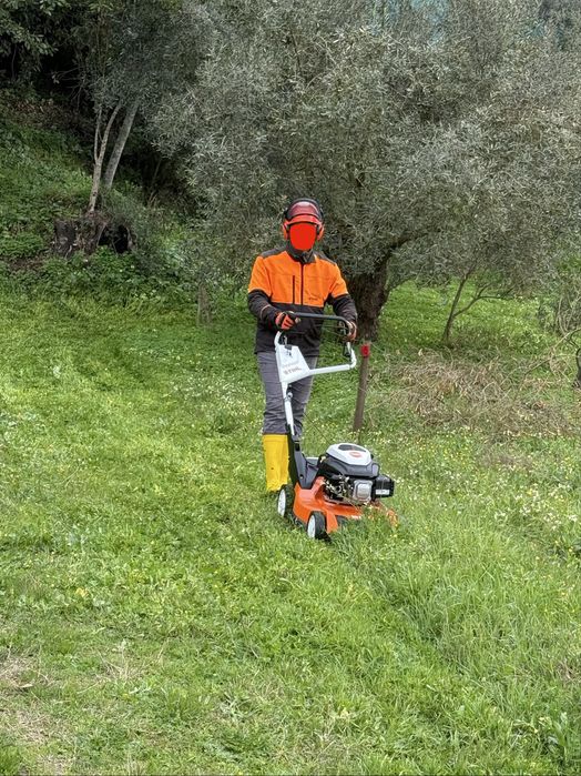 Limpeza  pinhais, eucaliptais, terrenos, manutenção de, jardins, poda…