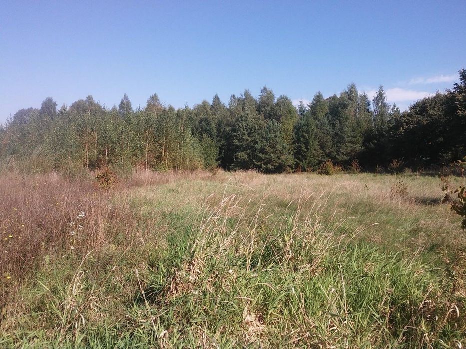 Piękna dzialka budowlana z mediami pod lasem.  Tałty k.Mikołajek - More