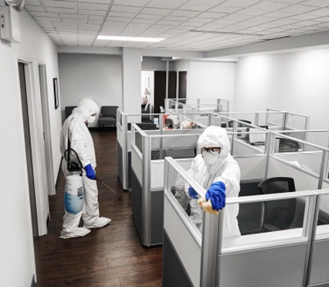 Дезинфекция Дезинсекция Дератизация