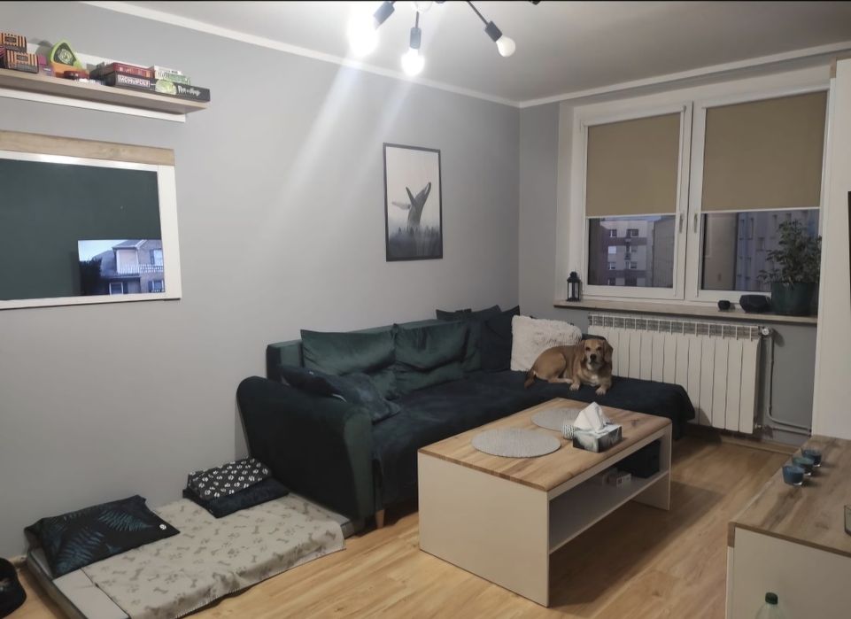 Sprzedam wyremontowane mieszkanie