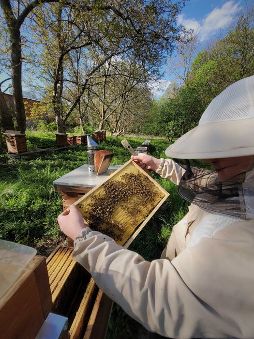 Naturalny miód z maliną 400g – polski miód prosto z pasieki z maliną.