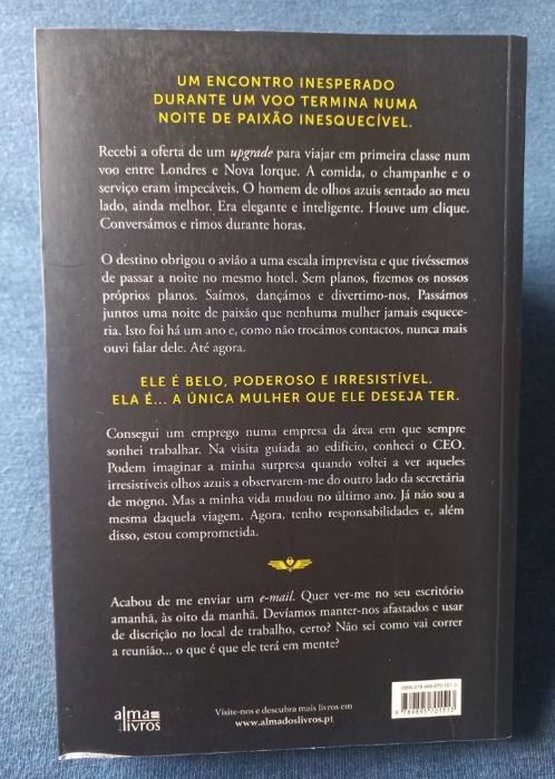 Primeira Classe - T L Swan (The Miles High Club - Livro 1)