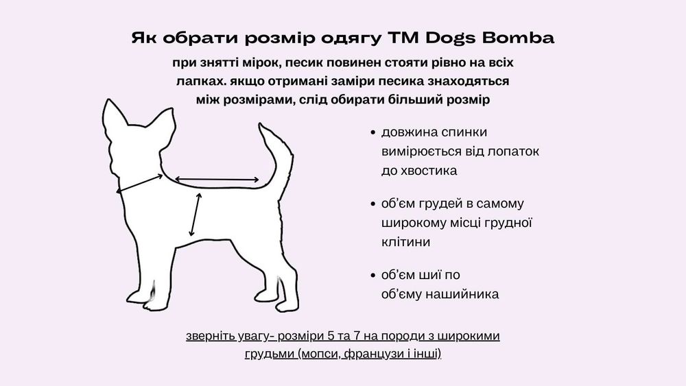 Тепленька Толстовка на флісі зебра для собачок(Україна виробник)