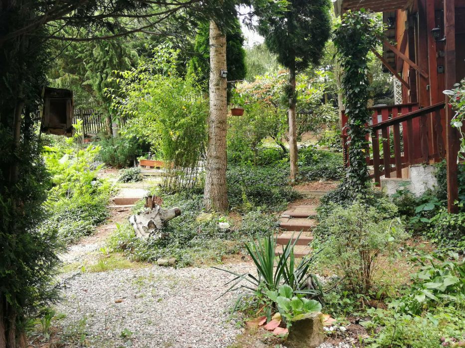 Acapulco Domek Maria,   Radków Góry Stołow.Rezer. tele k.zalewu