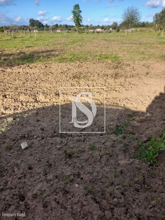 Terreno Para Construção - Abrantes - Rossio
