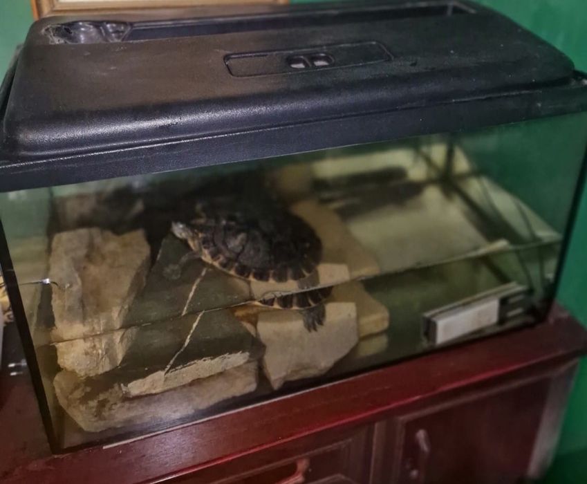 Akwarium 120 litrów