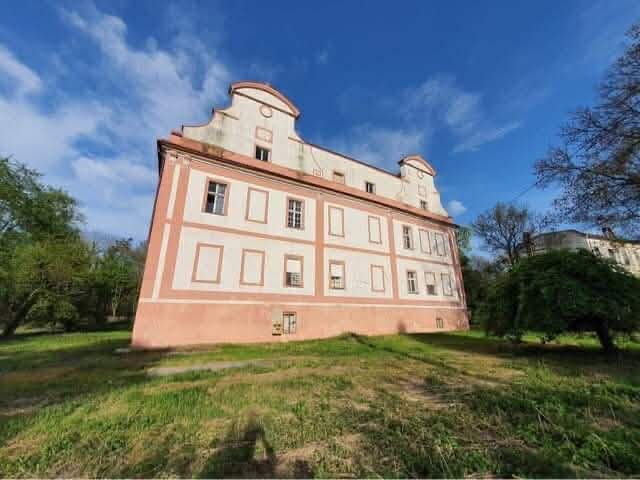 Pałac w Snowidzy na sprzedaż